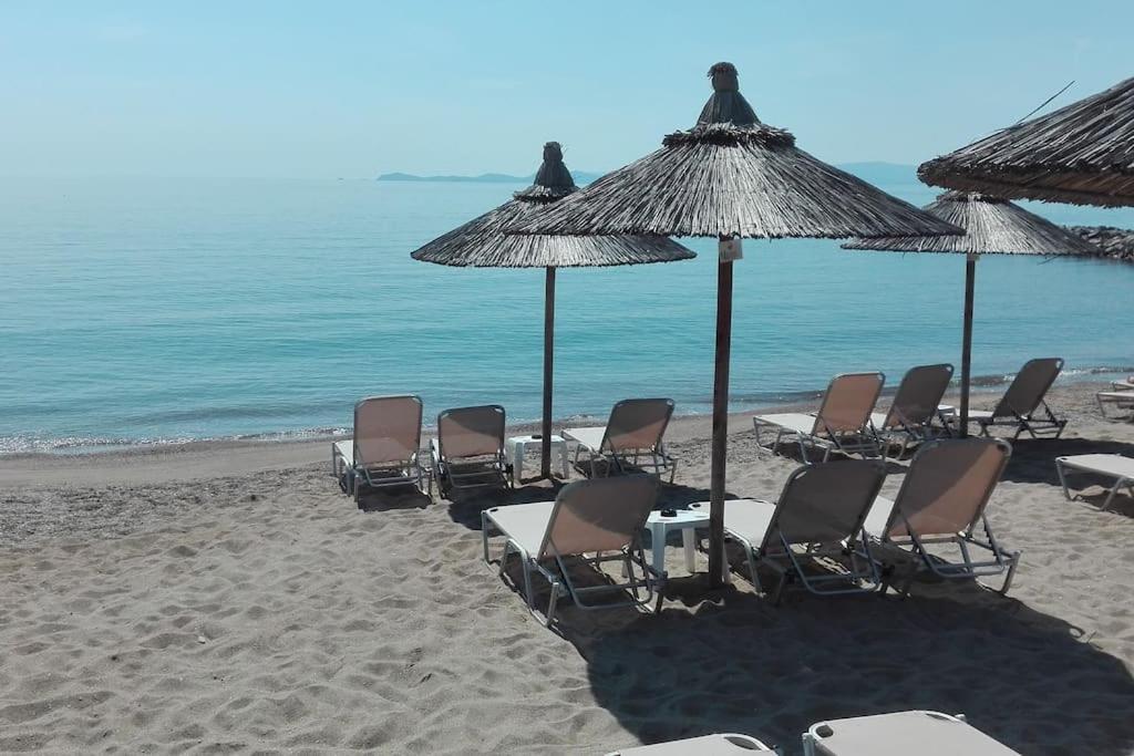 Cosy House Stratoni Chalkidiki 300M From Beach Ngoại thất bức ảnh