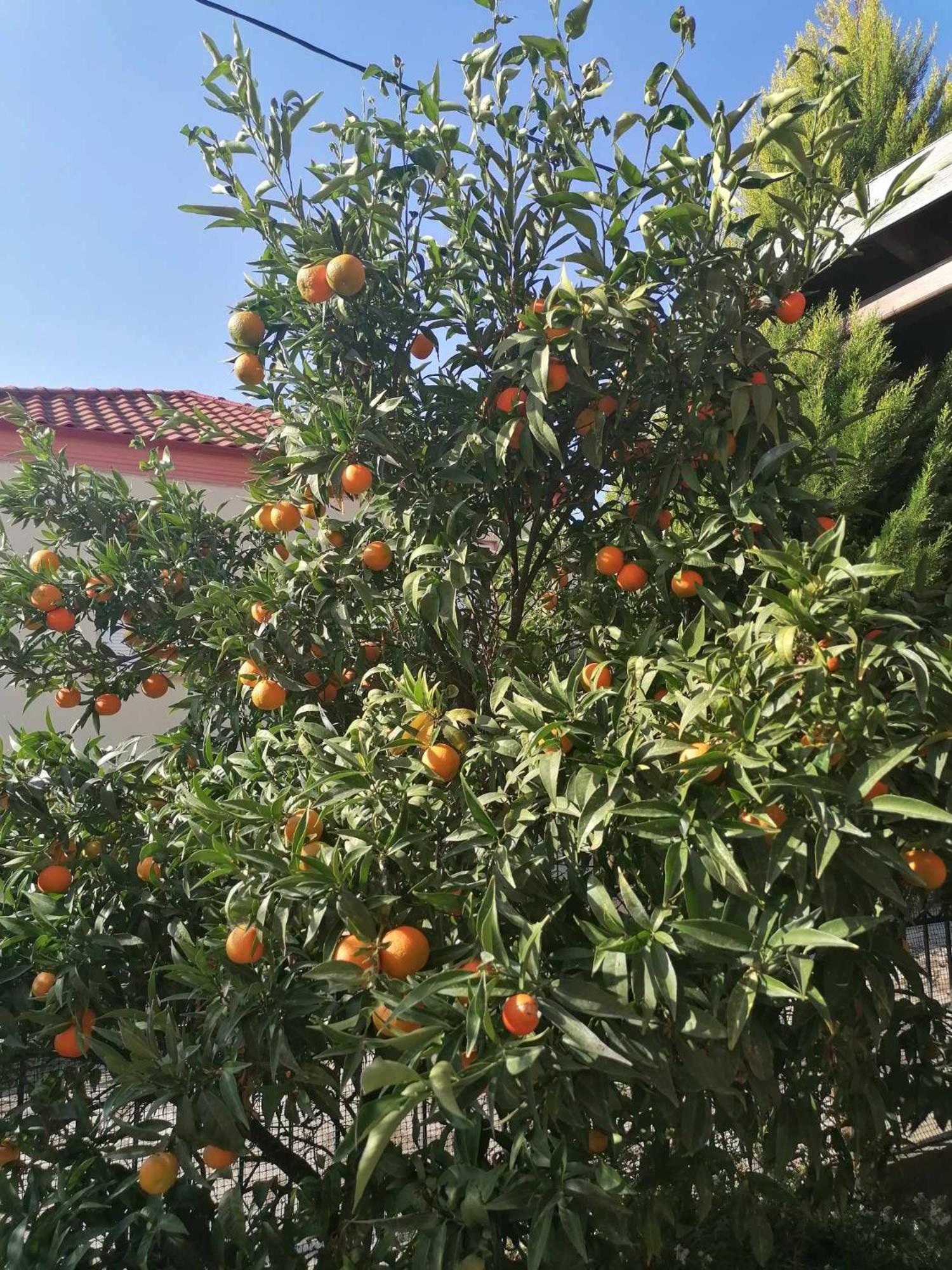 Cosy House Stratoni Chalkidiki 300M From Beach Ngoại thất bức ảnh
